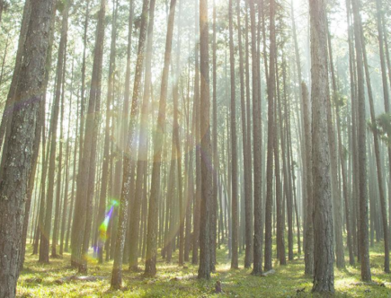 5 Key Features Of Green Exhibition Stands